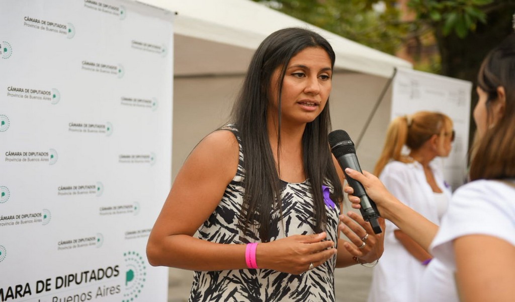 “El espionaje era parte de una matriz”, afirmó la diputada Débora Indarte